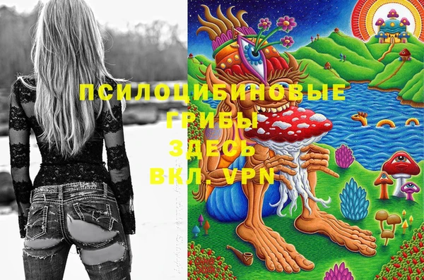 МДМА Лагань